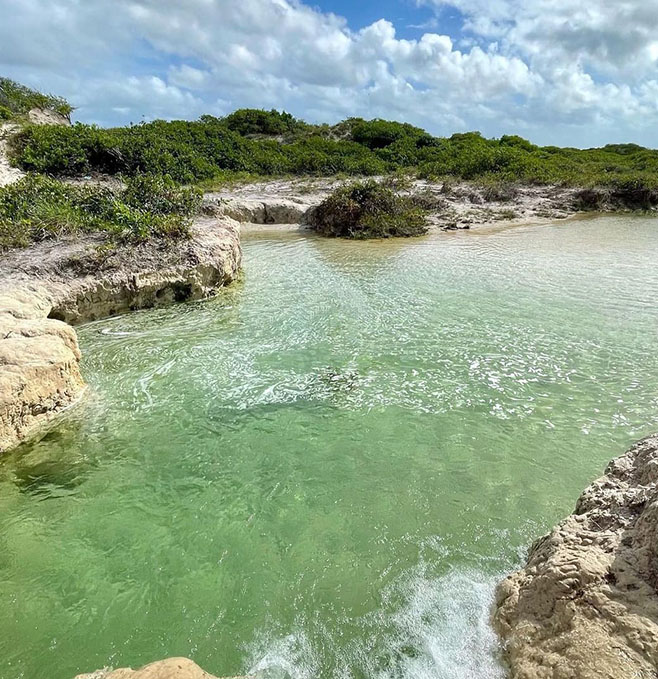 CARRROSSEL-ROTEIROS-4