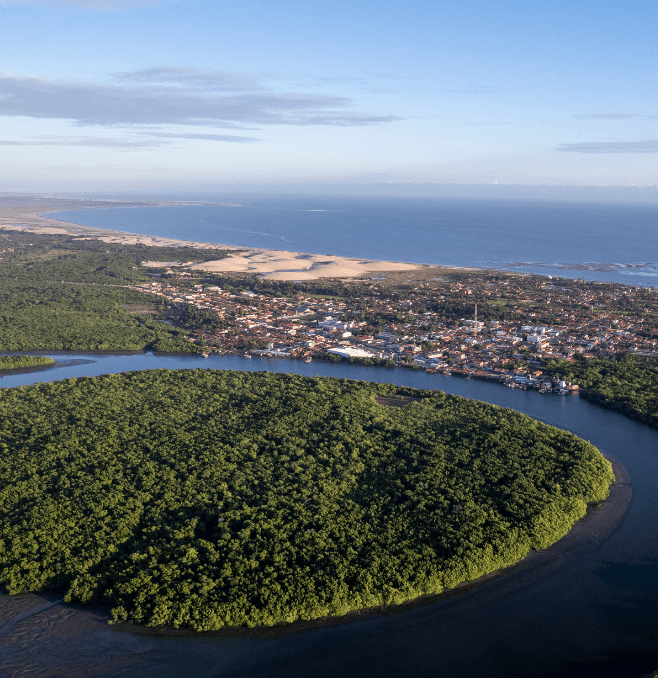 Design sem nome (15)